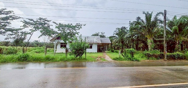 ที่ดิน  54 ไร่ 139 ตร.ว มีครบ! สวนยาง–สวนปาล์ม–บ้าน–น้ำใช้ตลอดปี จ.สระแก้ว