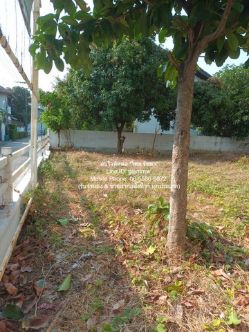DSL-921 ขาย ที่ดิน ขายที่ดินเปล่าถมแล้ว ซ.ลาดพร้าว 94 (ตรงข้ามห้างอิมพิเรียล เวิลด์ ลาดพร้าว) 88 ตร.ว. ราคา 15 ล้านบาท (โอนฟรี)  กรุงเทพ 88