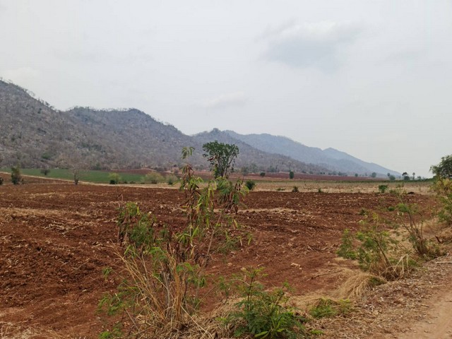 ฝากไว้ให้พิจารณานะคะ ที่ดินติดภูเขา ต.พระนอน อ.เมือง จ.นครสวรรค์ วิวสวยมากๆๆ 5ไร่เศษ โทร 096-882-1857