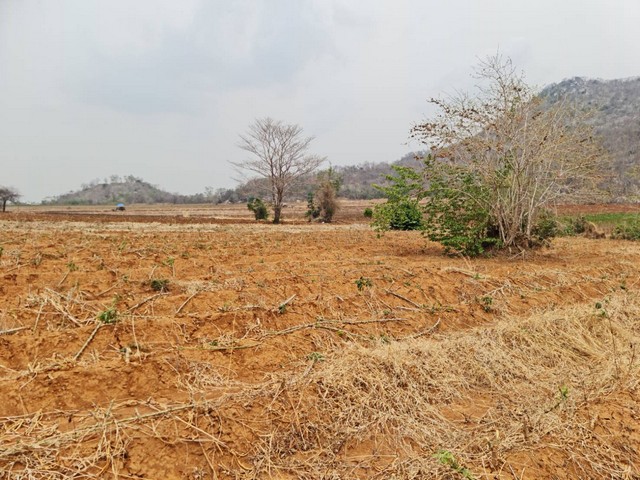 มูลค่าทวีเพิ่มพูนทรัพย์ในดิน  ที่ดินติดภูเขา ต.พระนอน อ.เมือง จ.นครสวรรค์ วิวสวยมากๆๆ 5ไร่เศษ โทร 096-882-1857