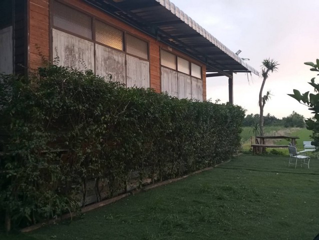 ฝากไว้ให้พิจารณานะคะ ให้เช่าบ้านไม้ถ่ายหนังถ่ายละคร MV โฆษณา หนังสั้น คอนเท้นท์ บ้านสวยวิวทุ่งนา ไทรน้อย 0968821857