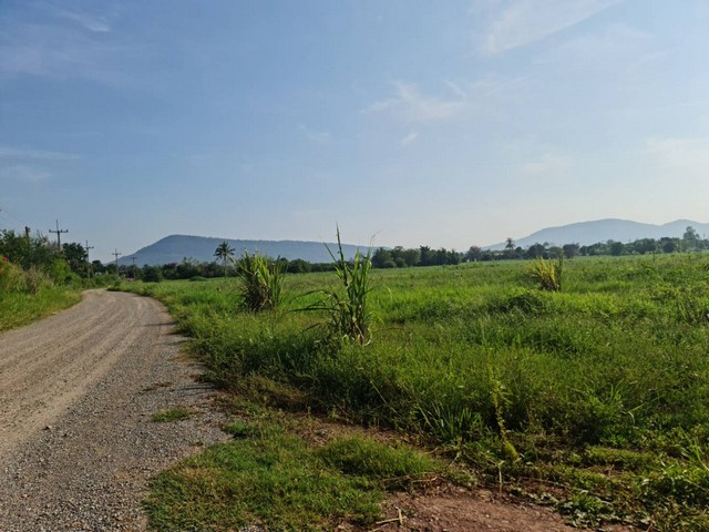 ที่ดินปากช่องน่าลงทุนแบ่งขาย  2ไร่- 8ไร่ โฉนด ต.วังไทร อ.ปากช่อง จ.นครราชสีมา ไร่ละ  2.9 ลบ.สูงจากระดับน้ำทะเลมา น้ำไฟพร้อม