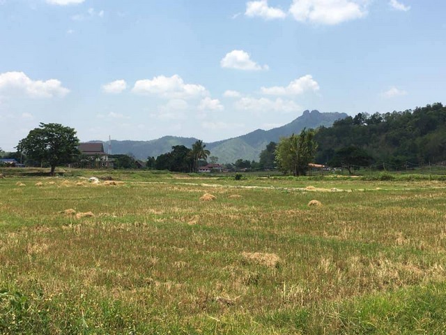 ขายที่ดิน 5ไร่8ตรว. 2ลบ. รวมโอน ที่นาเชิงดอย เหมาะทำเกษตร ต.เมืองปาน อ.เมืองปาน ลำปาง