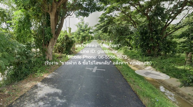 ขายที่ดินทุ่งนา (ผังสีเขียว) 2-1-31 ไร่ อ.บ้านลาด จ.เพชรบุรี ราคา 5.82 ล้านบาท