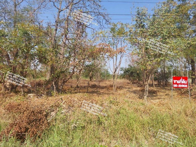 ขายที่ดินติดถนนสายลาดยาว-คลองลาน อำเภอลาดยาว จังหวัดนครสวรรค์ เนื้อที่ 2 ไร่ 84 ตร.ว