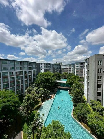 คอนโด วิวสระว่ายน้ำ บรรยากาศโปร่งสบาย Dcondo Ping เชียงใหม่