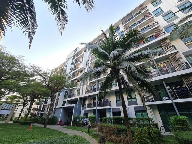 ขาย คอนโด ไอคอนโด สุขุมวิท 105-1 ถนน สุขุมวิท บางนา กรุงเทพ