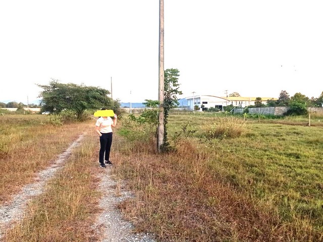 ขายที่ดินจัดสรร 189.9ตรว. 700000บ. ใกล้ถนนหมู่บ้านครู-บ้านธิ บ้านสันรอมหมี ต.มะเขือแจ้ อ.เมือง ลำพูน