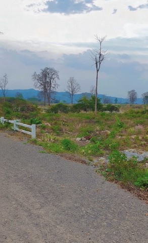 ขายที่ดินตำบลหมูสี 100-200 ตร.ว. วิวเขาใหญ่ อำเภอปากช่อง จ.นครราชสีมา ติดต่อ 064-4961382