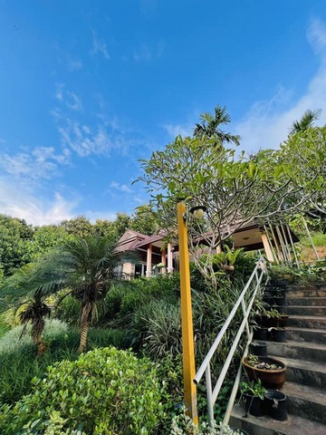 ให้เช่าหรือขายบ้านรีสอร์ทพร้อมเฟอร์ พื้นที่1-2-28ไร่ 5นอน4น้ำ เช่า 40000บ. ขาย5.5ลบ. ต.สะเมิงใต้ อ.สะเมิง เชียงใหม่