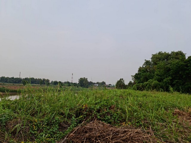 แนะนำซื้อขายอสังหาดีดี ขาย ที่ดินติดแม่น้ำน่าน ที่สวยติดแม่น้ำน่าน ชุมแสง  จ.นครสวรรค์