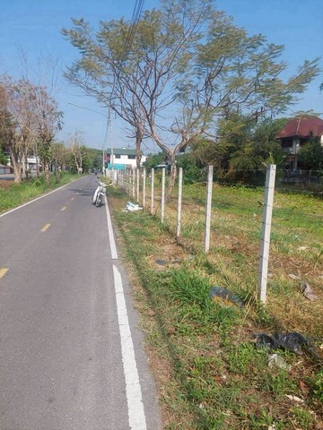 ที่ดินทำเลดี 25000 บาท/ตร.วา 10 ไร่ 1 งาน 95 ตรว แม่เหียะ