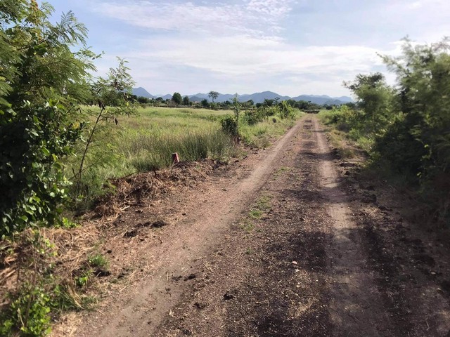 ขายที่ดิน 99 ตรว. ราคา 700000 บาท ตรงข้าม วัดดงน้อย เทศบาล ต.กกโก อ.เมือง ลพบุรี