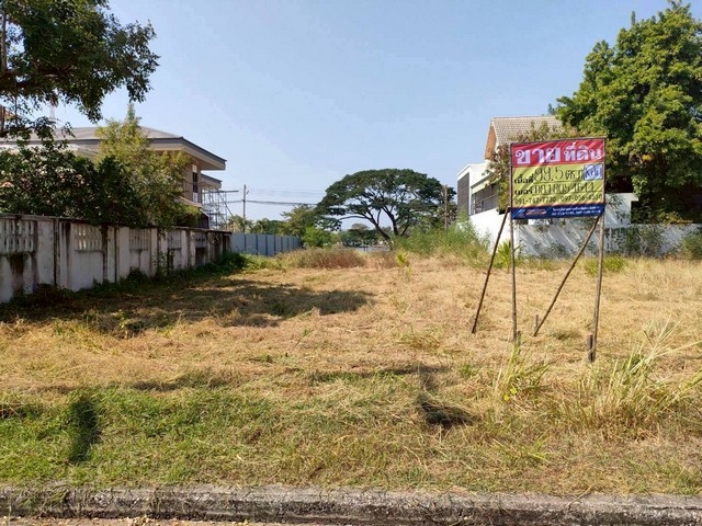 ขายที่ดินแปลงสวย 99.5 ตร.วา  หมู่บ้านมหาชัยเมืองทอง  โครงการ1  ถนนสหกรณ์    บางหญ้าแพรก   เมืองสมุทรสาคร       ZW645