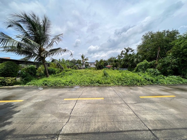 ขายที่ดินเปล่า เนื้อที่ 203 ตารางวา ซอยนนทบุรี 42 ท่าทราย เมืองนนทบุรี