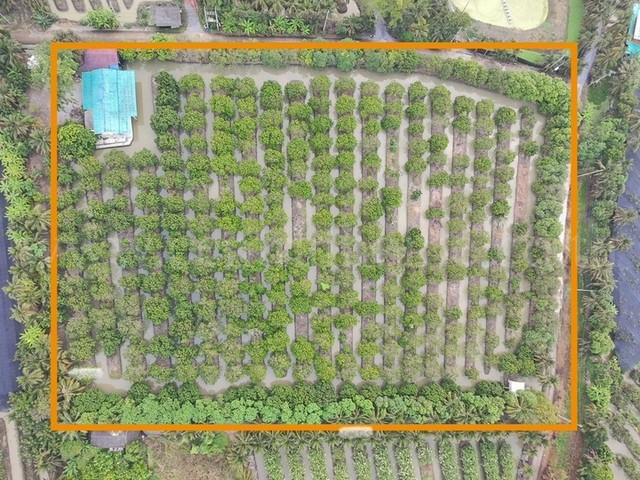 ที่ดิน พร้อมสิ่งปลูกสร้าง 9-3-60 ไร่ สามพราน นครปฐม ทำเลดี