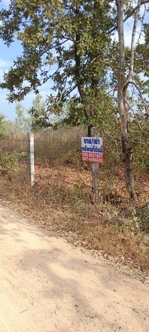 เล็งทรัพย์ดีเก็งเก็บอนาคต ขายที่สวยติดทางหลวง1107 บ้านตาก จ.ตาก คมนาคมสะดวก ไร่ละ 300000 ต.ตากตก อ.บ้านตาก  จ.ตาก  0837124115