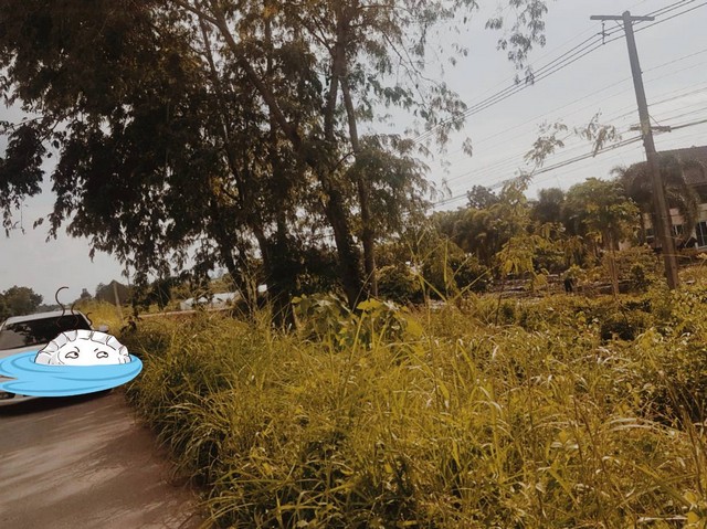 รีบหาที่ทางทำเกษตรพอเพียง  เมืองบ้านตากจังหวัดตาก  3-1-40 ไร่ ติดถนนเอเซีย AH1 ติดถนนพหลโยธิน ไร่ 3ลบ. โทร 096-8821857