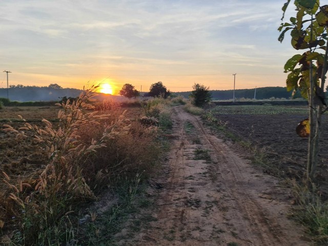 แปลงนี้ซื้อผ่อนเจ้าของได้ ที่ติดแม่น้ำโขง ต.กุดบง อ.โพนพิสัย จ.หนองคาย  หลังติดแม่น้ำโขง ไร่ละ 2ล้านบาท โทร 096-882-1857