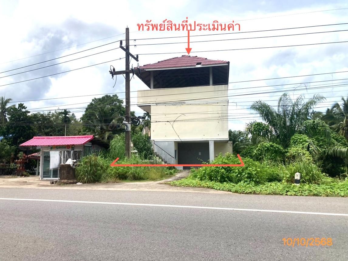 ขาย บ้านเดี่ยว สุราษฎร์ธานี  อำเภอ ดอนสัก จังหวัด สุราษฎร์ธานี