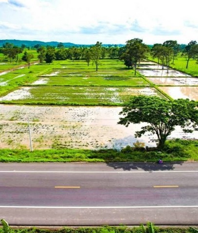 ขายที่นาติดถนนดำ วิวภูเขา ใกล้ปราสาทหินเมืองต่ำ อำเภอประโคนชัย จังหวัดบุรีรัมย์ เนื้อที่ 10 ไร่ 1 งาน 8 ตารางวา(2 โฉนด)
