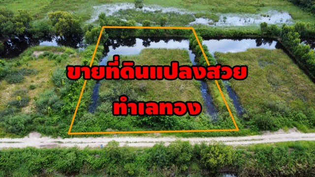 ขายที่ดิน ใกล้ตลาดวังน้อย 2ไร่ ต.ลำตาเสา อ.วังน้อย จ.อยุธยา