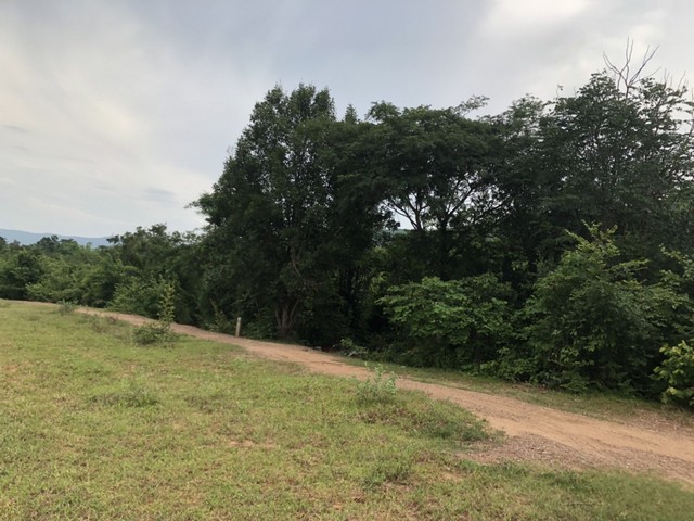 คุ้มค่าน่าลงทุนทรัพย์ในดิน  ขายที่ดินสวยติดภูเขา เทือกเขายาวเรียงแนว ดินดีสมบูรณ์ทรัพย์ในดิน ฟ้าใสวิวหลักล้าน ต.นาจาน อ.สีชมพู จ.ขอนแก่น