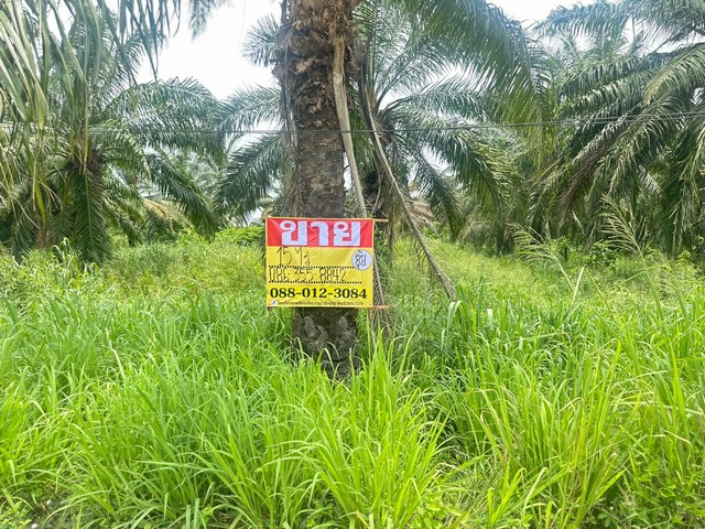 ขายที่ดิน 15 ไร่  เขาคันทรง  ศรีราชา  ชลบุรี  ใกล้ อบต.เขาคันทรง   ZT912