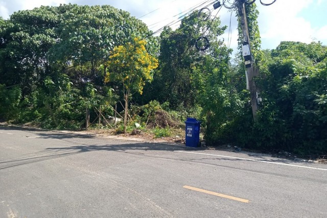 ขายที่ดิน อำเภอย่านตาขาว จังหวัดตรัง ถนนตรัง-ฉลุง ราคาโปรโมชั่น