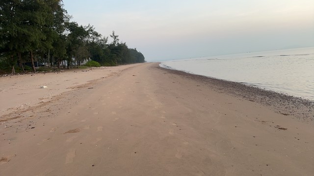 รีบหาที่ทางทำเกษตรพอเพียง ที่ติดทะเล ฝั่งแดง ขายราคาไร่ล่ะ 3.5 ล้านบาท โฉนดครุฑแดง พร้อมโอน