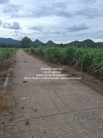 DSL-1351 ขาย ที่ดิน ขายที่ดินไร่อ้อย (น.ส.3 ก.) 19-2-21 ไร่ ต.ห้วยยาง อ.คอนสาร จ.ชัยภูมิ ราคา 9.78 ล้านบาท ชัยภูมิ    9780000 บาท 19 ไร่ 2 งาน 7821 ตร.วา ใกล้กับ โรงเรียนคอนสารวิทย