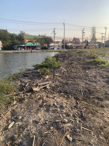 ขายที่ดินพื้นที่สีม่วง ติดถนนคู่สร้างประชาอุทิศ   ตำบลในคลองบางปลากด พระสมุทรเจดีย์สมุทรปราการ