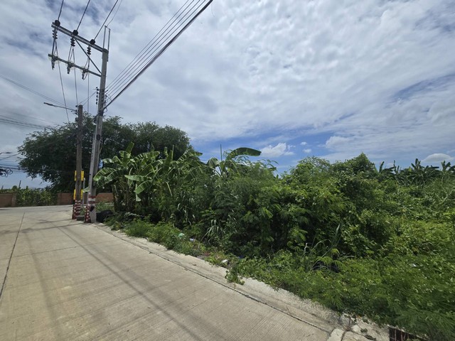 ขายที่ดิน ทวีวัฒนา-กาญจนาภิเษก 20 แปลงมุม ทำเลดี ติดถนนใหญ่ ใกล้มหาวิทยาลัยกรุงเทพธนบุรี