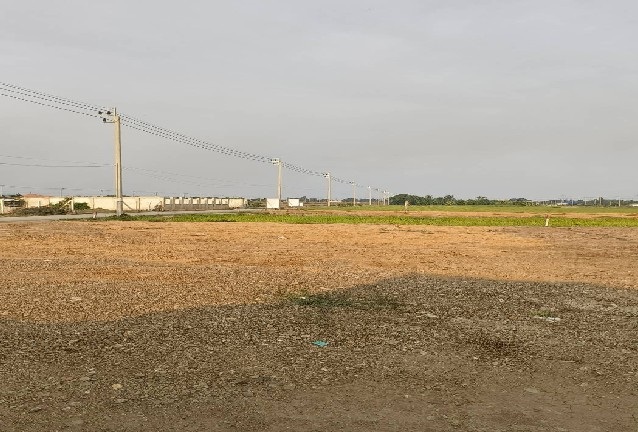 ขายที่ดิน 2 แปลง 100 ตารางวา และ 168 ตารางวา ถมแล้ว หนองจอก กรุงเทพ