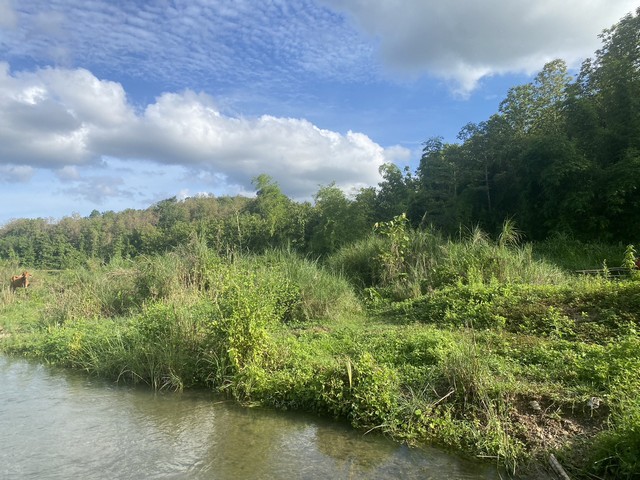 แปลงนี้ซื้อผ่อนเจ้าของได้ ขายที่ดินติดลำธารน้ำใสไหลริน ชุ่มฉ่ำตลอดปี สวยวิวล้าน 800000บาท 3-0-35ไร่ อำเภอสันติสุข น่าน