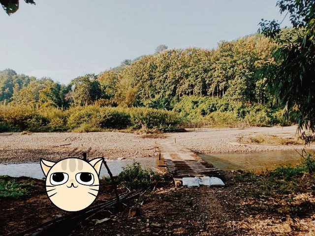 สู่ยุคหาทรัพย์ดีเอื้อเศรฐกิจ  ขายที่ดินติดลำธารน้ำใสไหลริน ชุ่มฉ่ำตลอดปี สวยวิวล้าน 800000บาท 3-0-35ไร่ อำเภอสันติสุข น่าน