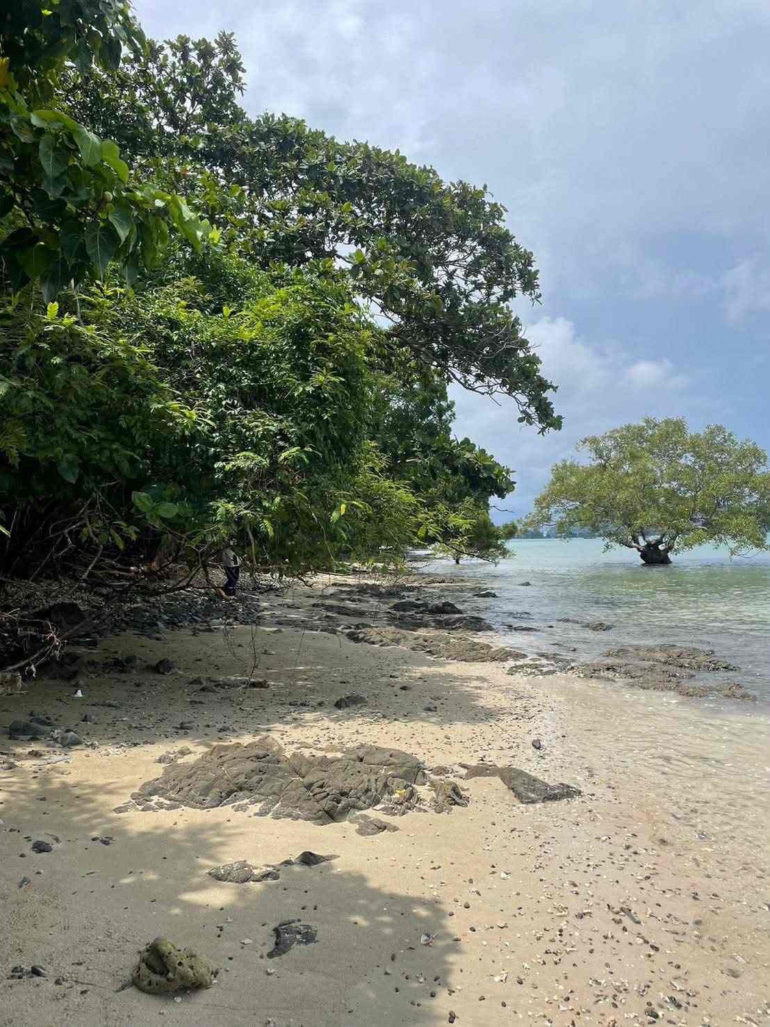 Vacant land for sale 35 Rai - prime location beachfront  Lon island Phuket