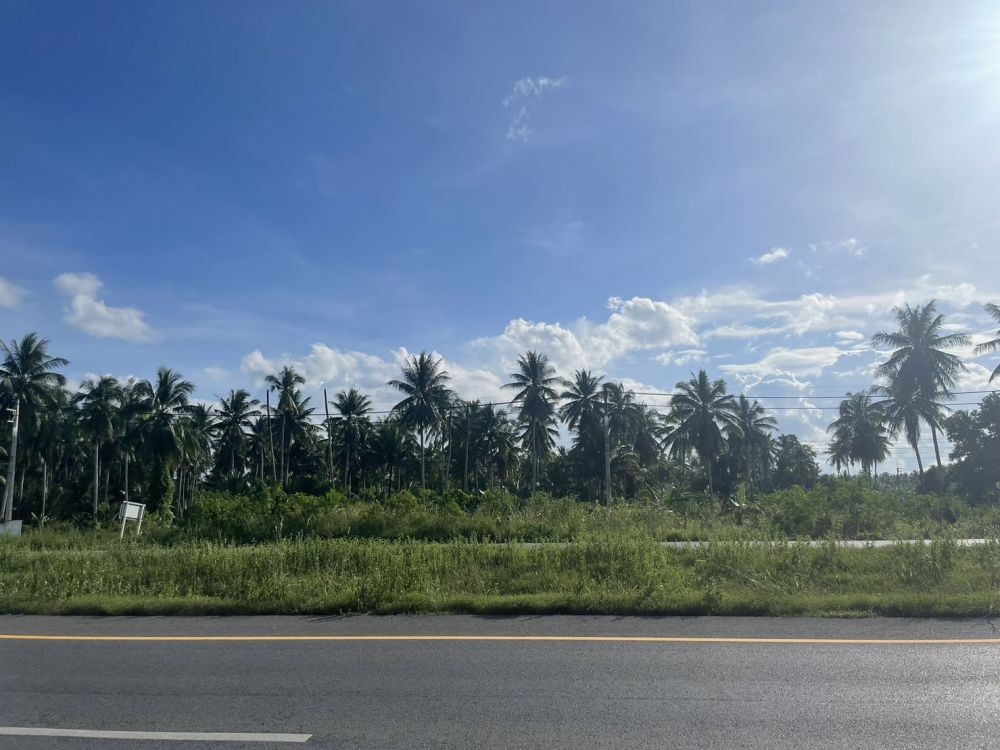 ขายที่ดินทำเลติดถนนใหญ่ หน้ากว้าง 112 เมตร ใกล้เซ็นทรัลสุราษฎร์