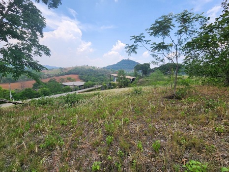 ที่ดินในโครงการพรีเมียม เขาใหญ่ วิวเขาสวย 360 องศา บรรยากาศเงียบสงบ เหมาะทำบ้านพักส่วนตัว