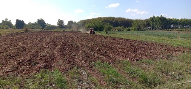 โปรปังทรัพย์ดีปลายปี68  ที่ติดแม่น้ำโขง ต.กุดบง อ.โพนพิสัย จ.หนองคาย  หลังติดแม่น้ำโขง ไร่ละ 2ล้านบาท โทร 096-882-1857