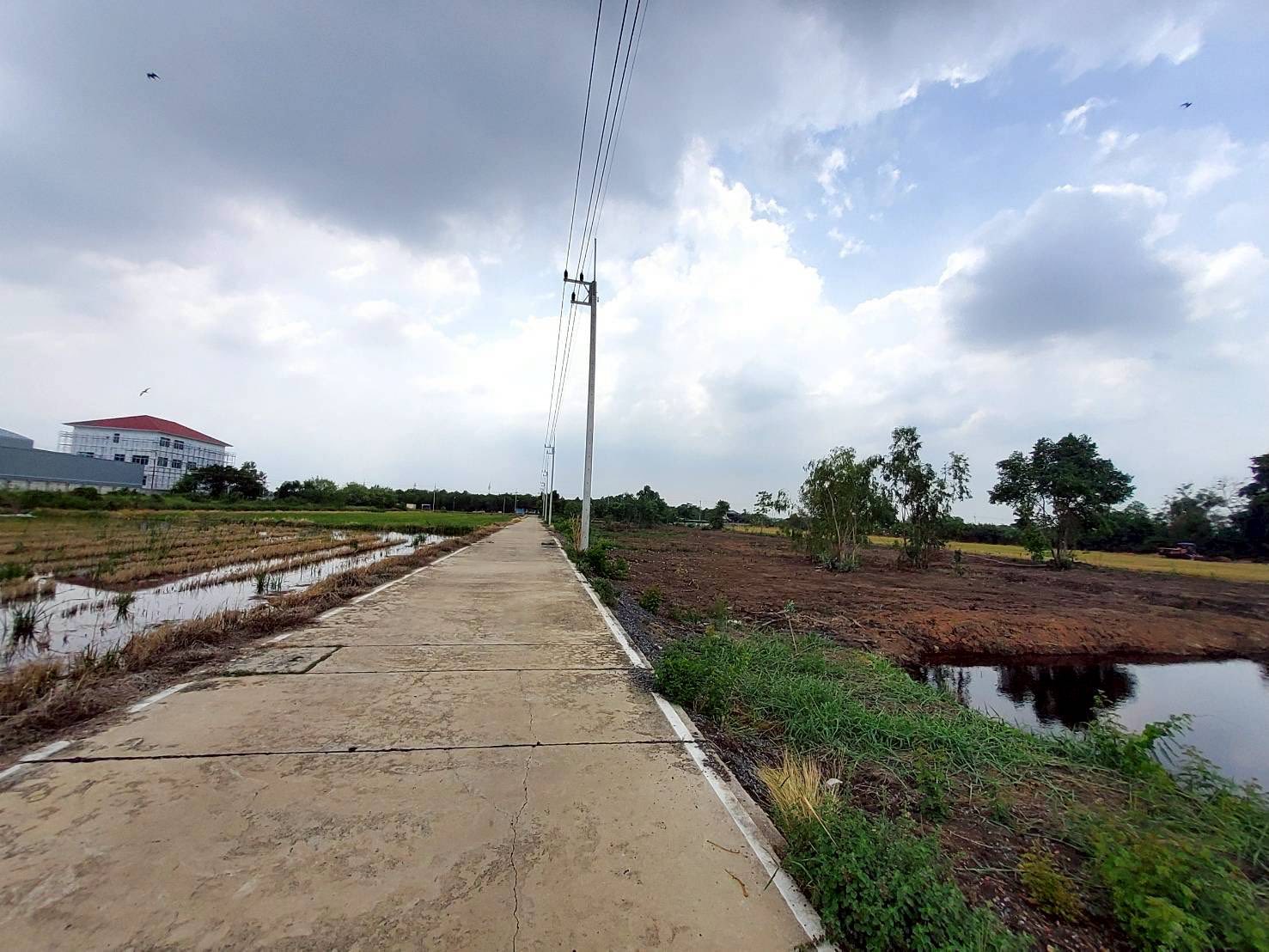 ขายด่วนที่ดิน 6 ไร่ ติดถนนคอนกรีต แบ่งได้ ซ.คลองสาม14/7 คลองหลวง ปทุมธานี