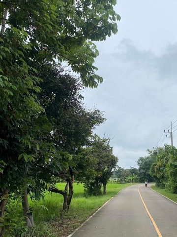 ที่ดินเปล่า วิวสวย บรรยากาศดี ธรรมชาติ แม่ริม