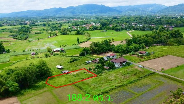 ที่ดิน ปัว น่าน พื้นที่ 188.2 ตร.ว.  (480000) เอกสารสิทธิ์โฉนดครุฑแดง (นส.4จ)