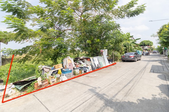 [ขายด่วน!] ที่ดินสวยรังสิต-นครนายก 59 รังสิต-นครนายก คลองสองสร้างบ้านในฝันหรือโกดังทำเงิน ในราคาหลักล้านต้นๆ!