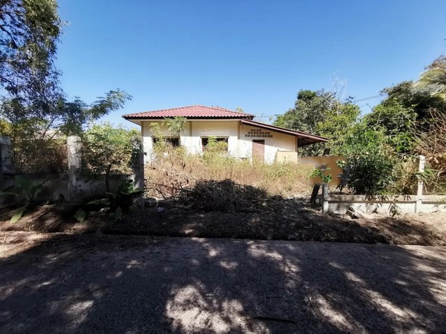 ขายบ้านเดี่ยว ขามใหญ่ ถนน บ้านดงเก่า-บ้านขามใหญ่ เมืองอุบลราชธานี