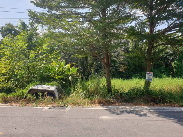 พื้นที่ดิน - ใหญ่ขนาด 0 Rai 0 Ngan 10 ตาราง.วา 1000000 B. ใกล้ – บิ๊กซี  – โลตัส  – ดูโฮม  – วัดอัยยิการาม  – ตลาดต้นไม้ คลอง 9  – โรงเรียนสารสาสน์วิเทศรังสิต คลอง 7  – โรงเรียนจุฑารัตน์วิทยา  – โรงเรียนวัดอัยยิการาม  – โรงพยาบาลธัญบุรี  – โรงพยาบาลค