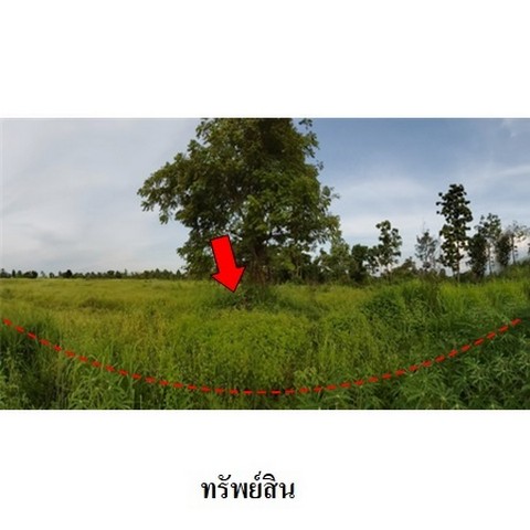 ขายที่ดินว่างเปล่า ถนน สายชัยภูมิ-หนองบัวแดง (ทล.2159) ตำบล รอบเมือง อำเภอ เมืองชัยภูมิ จังหวัด ชัยภูมิ