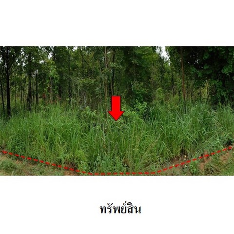 ขายที่ดินว่างเปล่า ถนน สายบ้านยางบ่า-โคกสูง (ชย.4077) ตำบล รอบเมือง อำเภอ เมืองชัยภูมิ จังหวัด ชัยภูมิ