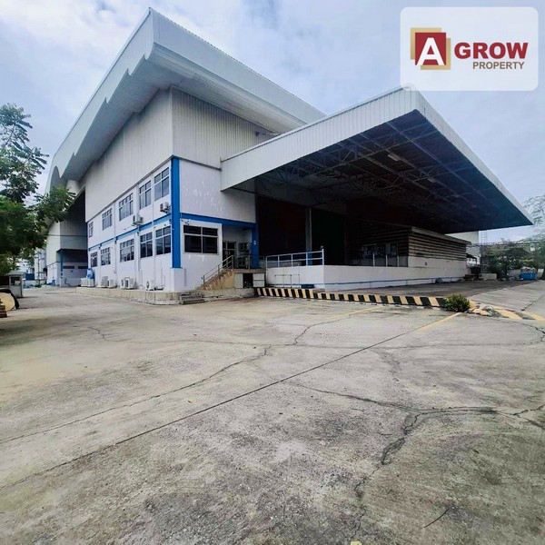 โกดัง/โรงงานให้เช่า ขนาด 5508 ตร.ม. พื้นที่สีม่วง ซอยวัดบัวรอง พร้อมให้เข้าอยู่ 15/01/2026 (กำลังรีโนเวทใหม่)