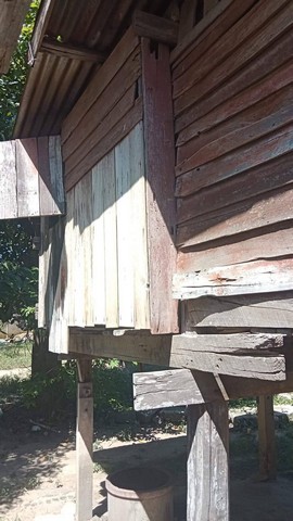 เล็งทรัพย์ดีเก็งเก็บอนาคต ขายบ้านไม้ จ.สิงห์บุรี  วิถีไทย  ต.โพทะเล วิถีไทย 262 วา ต.โพทะเล อ.ค่ายบางระจัน สิงห์บุรี 500000บาท